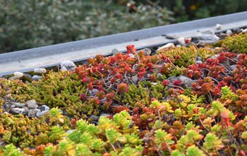 the cost of Summergangs green roof installation