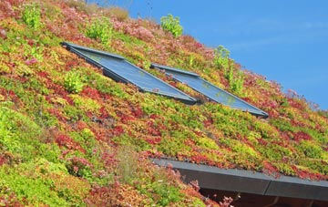 Summergangs living roof systems