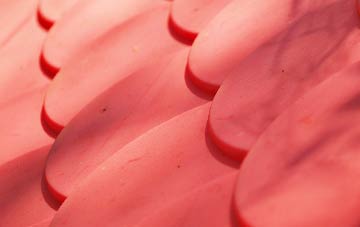 Summergangs plastic roof costs