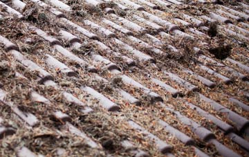 Summergangs roof cleaning companies