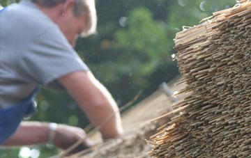 professional Summergangs thatchers