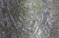 Summergangs fibreglass roof work